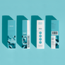 Shoe Deodorizer ✦Power Mint✦